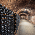 Innovative Design Ideas for Modern Wine Cellars